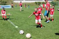 pfc 2014 u8 pfc 2014 u8