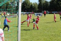 pfc 2014 u8 pfc 2014 u8