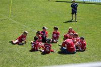 pfc 2014 u8 pfc 2014 u8