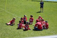 pfc 2014 u8