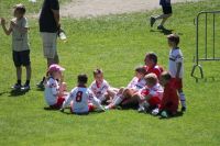 pfc 2014 u8