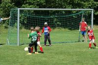 pfc 2014 u8 pfc 2014 u8