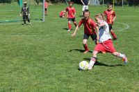pfc 2014 u8 pfc 2014 u8