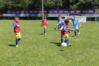 pfc 2014 u8 pfc 2014 u8