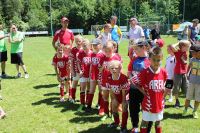pfc 2014 u8 pfc 2014 u8