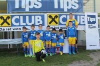 pfc 2014 u8 pfc 2014 u8
