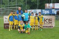 pfc 2015 donau linz pfc 2015 donau linz