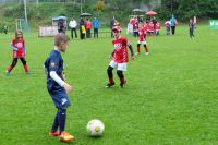 pfc 2015 u8 20 pfc 2015 u8 20