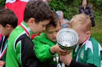 pfc 2015 u8 3 pfc 2015 u8 3