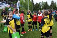 pfc 2016 u10 pfc 2016 u10