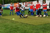pfc 2016 u12 pfc 2016 u12