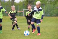 pfc 2016 u9 pfc 2016 u9