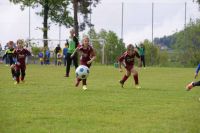 pfc 2016 u9 pfc 2016 u9
