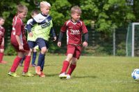 pfc 2016 u9 pfc 2016 u9