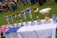 pfc 2016 u9 pfc 2016 u9