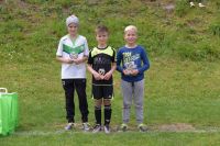 pfc 2016 u9 pfc 2016 u9