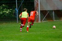 pfc 2017 u13 pfc 2017 u13