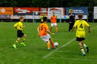 pfc 2017 u13 pfc 2017 u13