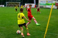 pfc 2017 u13 pfc 2017 u13