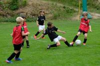 pfc 2017 u8 2 20170604 113143 tf pfc 2017 u8 2 20170604 113143 tf