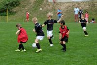 pfc 2017 u8 2 20170604 113143 tf pfc 2017 u8 2 20170604 113143 tf