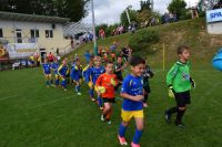 pfc 2017 u8 3 2017060422617 lp pfc 2017 u8 3 2017060422617 lp