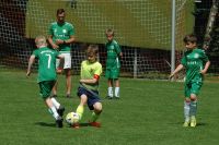 pfc 2023 u10 s pfc 2023 u10 s