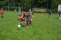 pfc 2023 u8 s pfc 2023 u8 s