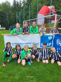 pfc 2025 sp pfc 2025 sp