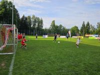 pfc 2026 u12