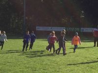 schnuppertraining volksschule 2017 schnuppertraining volksschule 2017