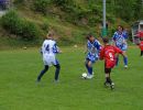 nw 2014 sommer abschluss