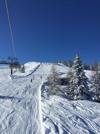 tagesschifahrt flachau 2018