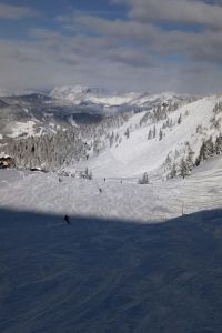 Tagesschifahrt Flachau 2018