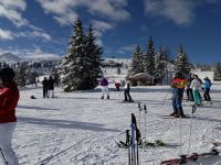 tagesschifahrt flachau 2018