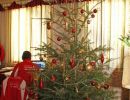 nw 2015 weihnachtsfeier  u12 u16