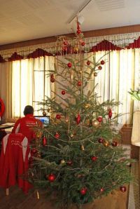 nw 2015 weihnachtsfeier u12 u16 nw 2015 weihnachtsfeier u12 u16