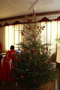 nw 2015 u12 u16 weihnachtsfeier nw 2015 u12 u16 weihnachtsfeier